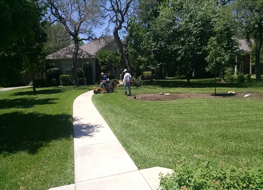 Garden Design